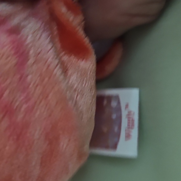 Ty Beanie Collection of 5 All New - 1 missing a tag - Picture 12 of 16